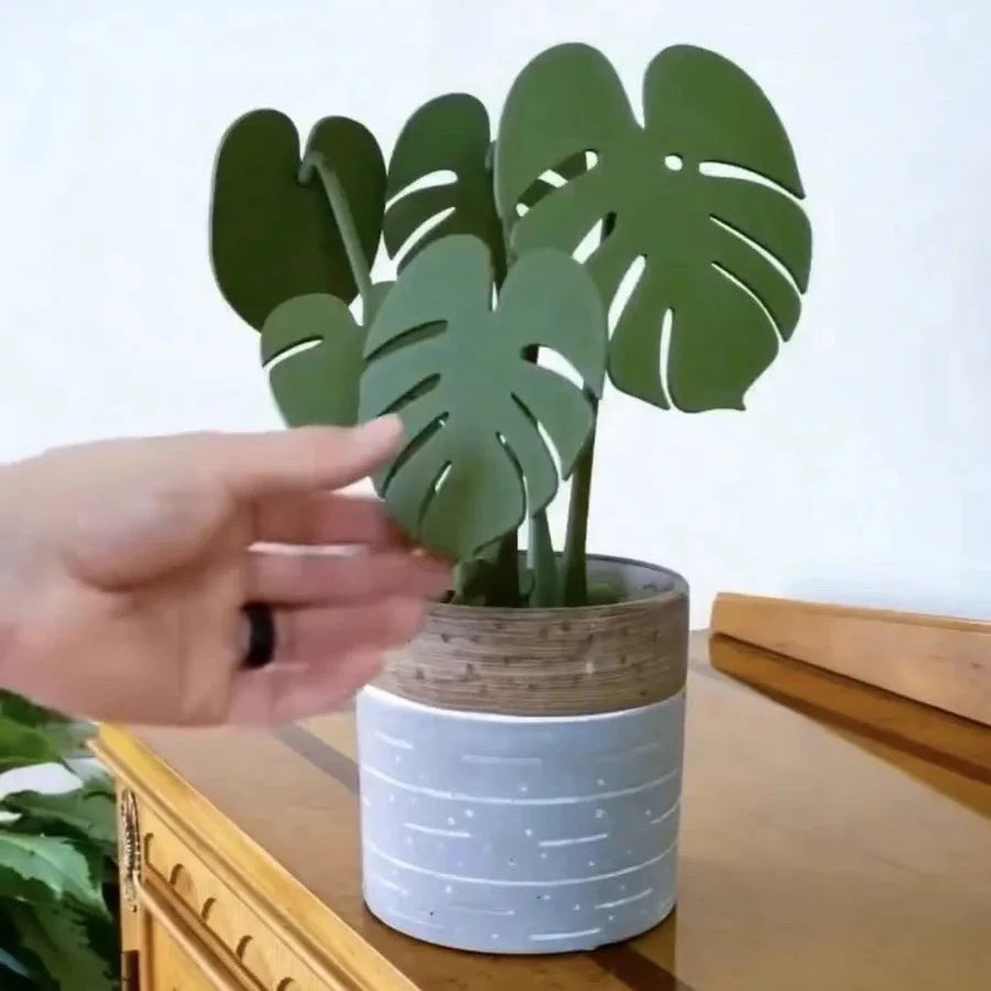 Monstera Coasters Set