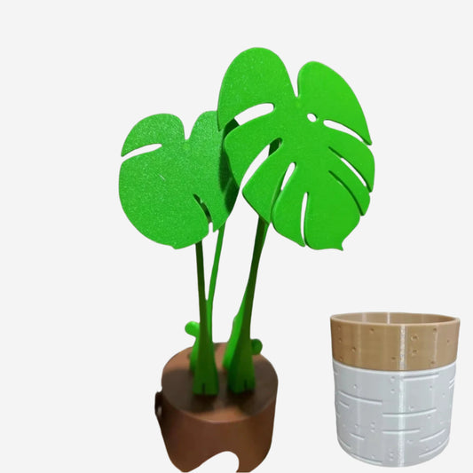 Monstera Coasters Set