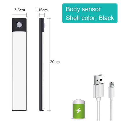 Motion Sensor Light 