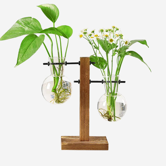 Terrarium Vase