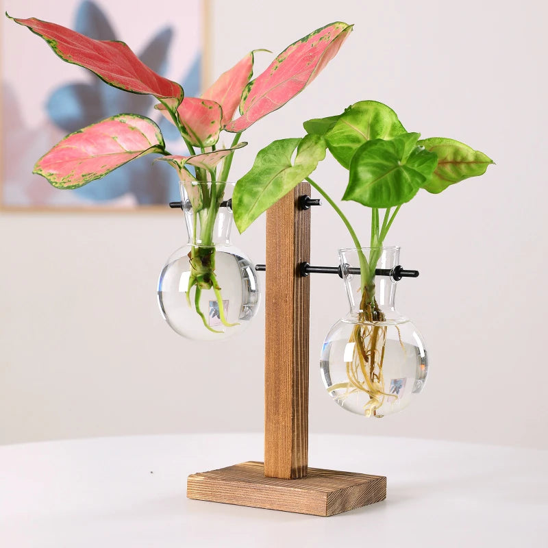 Terrarium Vase